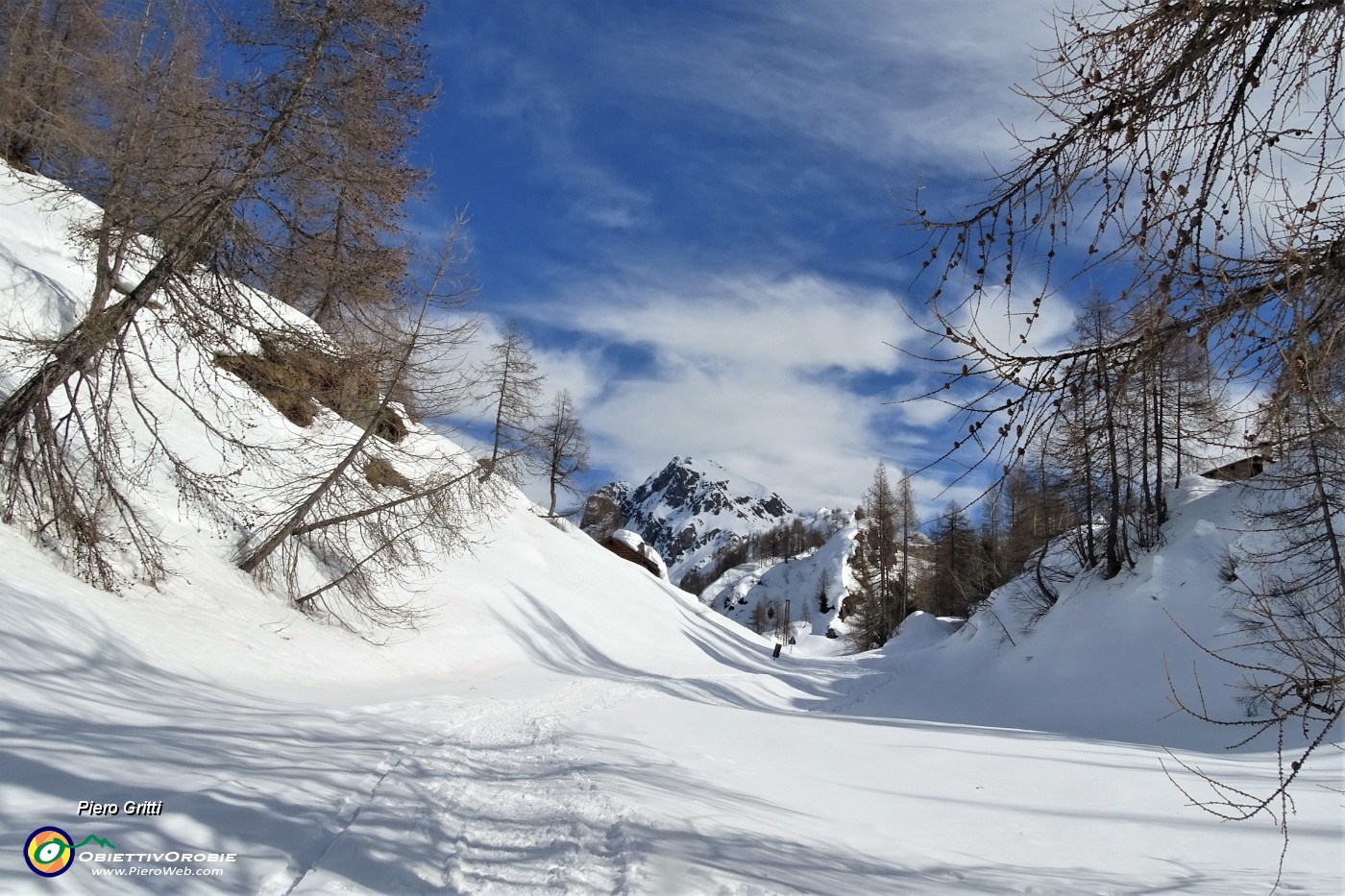 35 Belli i larici sul bianco della neve e nell'azzurro del cielo!.JPG